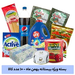 بسته ویژه  بیستانه بهمن ماه کد 9811 - شامل 10 محصول