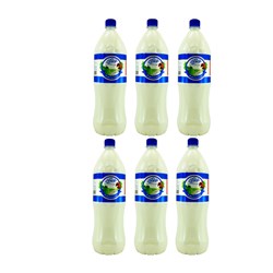 دوغ گرمادیده بدون گاز با طعم نعنا خوشگوار  1500 میلی لیتری بسته 6 عددی