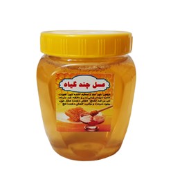 عسل طبیعی بدون موم چند گیاه مقدس 1000 گرمی