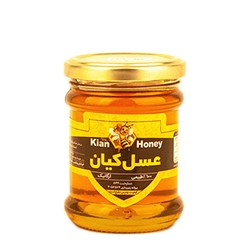 عسل چهل گیاه کیان کوه 300 گرمی