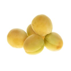 زردآلو (تحویل یک روزه)