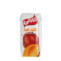 نکتار انبه شادلی 200 میلی لیتری