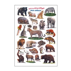 برچسب کودک آموزشی طرح حیوانات وحشی سایز A4 کد 49