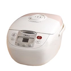 پلوپز میدیا مدل RCF-706DS